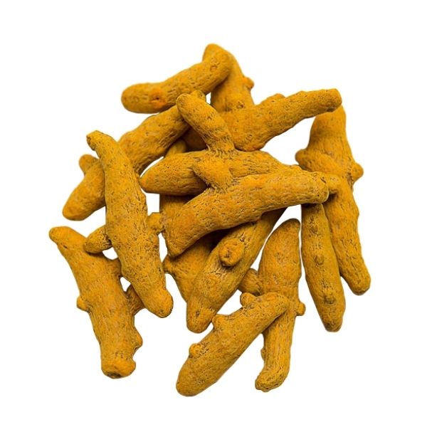چوب زردچوبه چوب زردچوبه