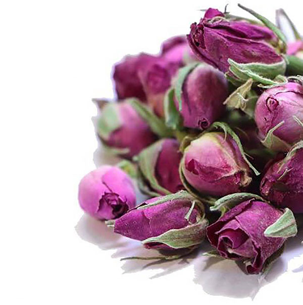 گل محمدی گل محمدی